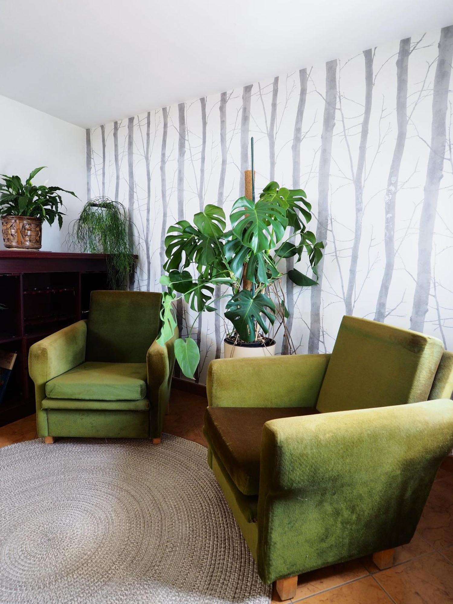 Apartamenty Vega Charzykowy Exteriér fotografie